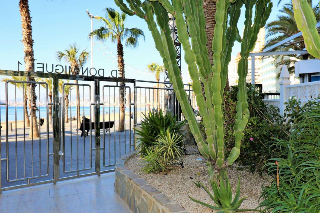 Don Miguel 1 18-A Levante Beach Apartment Benidorm Exteriör bild